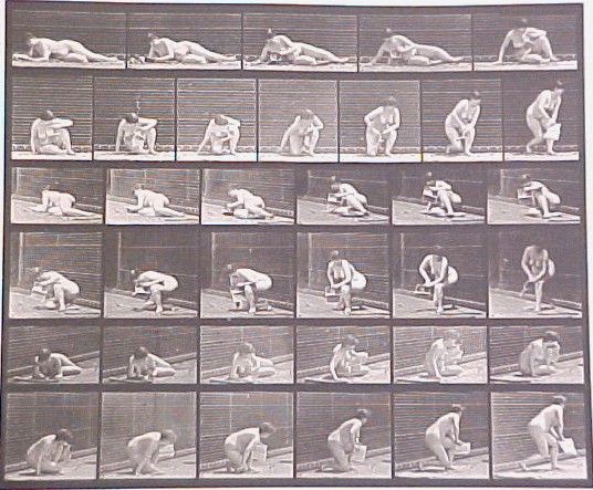 Appraisal: Eadweard Muybridge English - Animal Locomotion collotype plate motion sequence