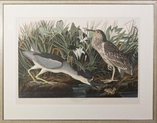 Appraisal: John James Audubon - Night Heron or Qua Bird No