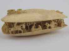 Appraisal: A Chinese ivory carving designed as a shell opened to