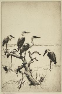 Appraisal: Frank W Benson - Herons at Rest signed Frank W