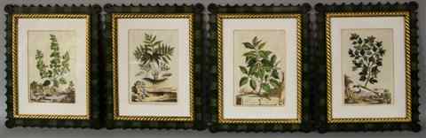 Appraisal: FOUR BOTANICAL PRINTS X in Framed Provenance Property of a