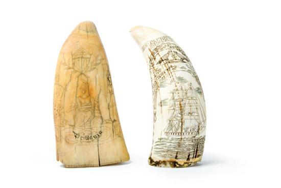 Appraisal: TWO SCRIMSHAW TEETH Nineteenth- th century Includes an English tooth