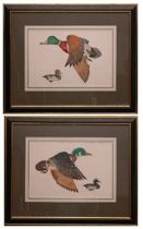 Appraisal: Two Larry Crawford Duck Prints Larry Crawford received a Bachelor