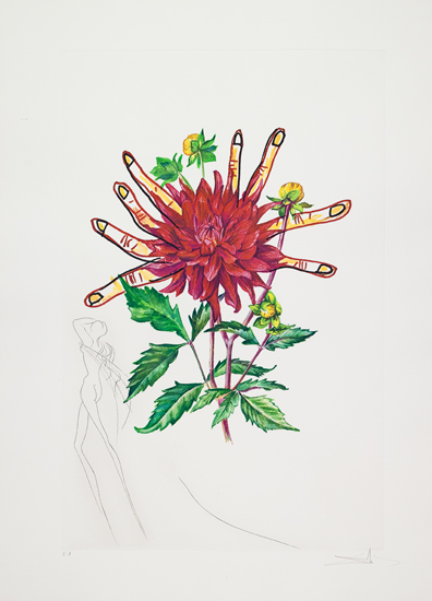 Appraisal: SALVADOR DAL Dahlia rapax Color drypoint and heliogravure x mm