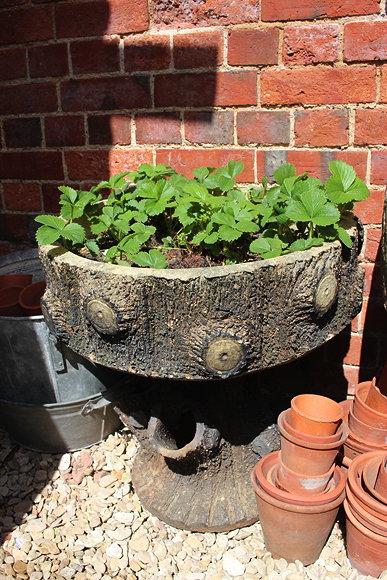 Appraisal: AN EARLY TH CENTURY STONEWARE STRAWBERRY PLANTER of naturalistic form