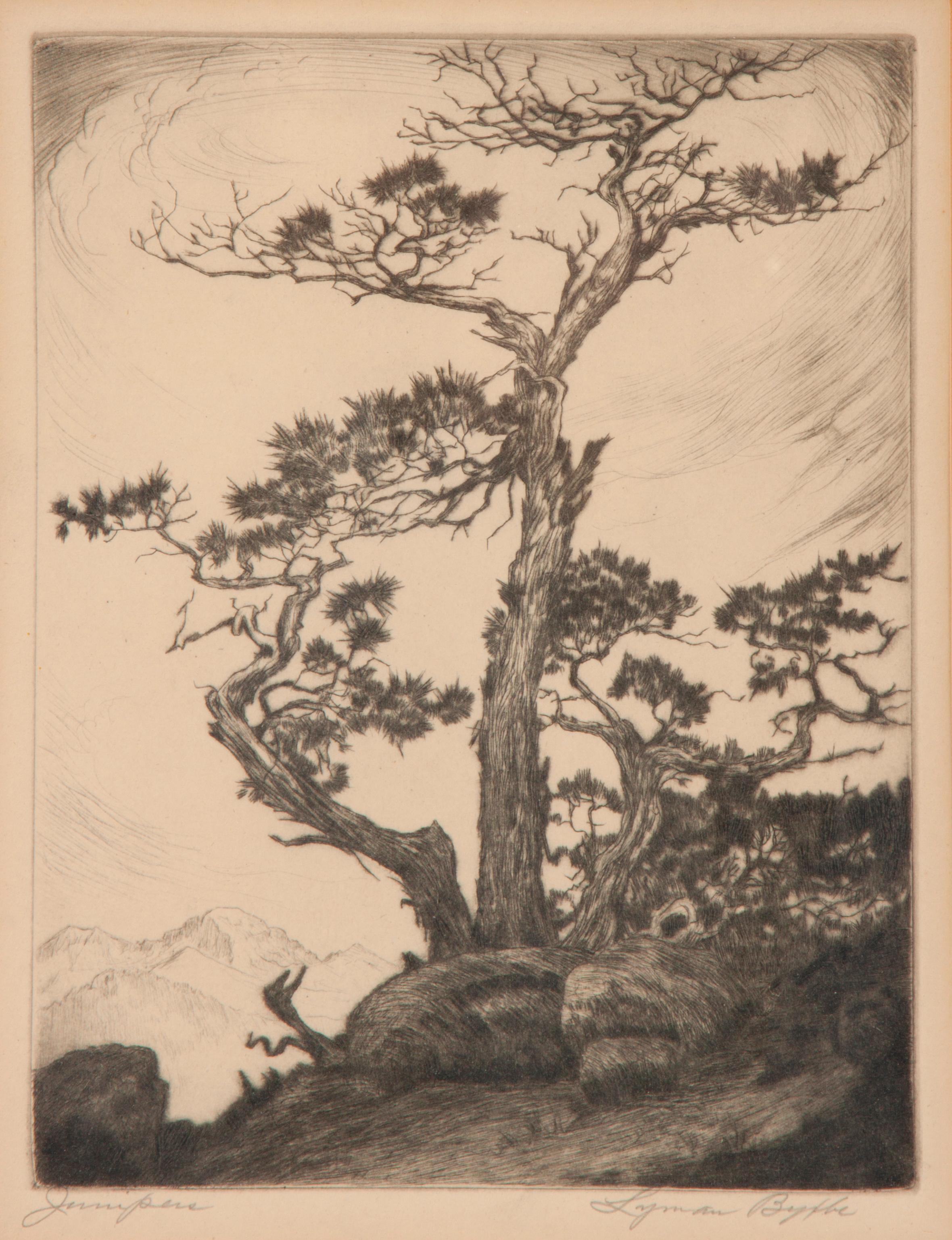 Appraisal: LYMAN BYXBE PENCIL-SIGNED ETCHING JUNIPERS Lyman Byxbe American - Junipers