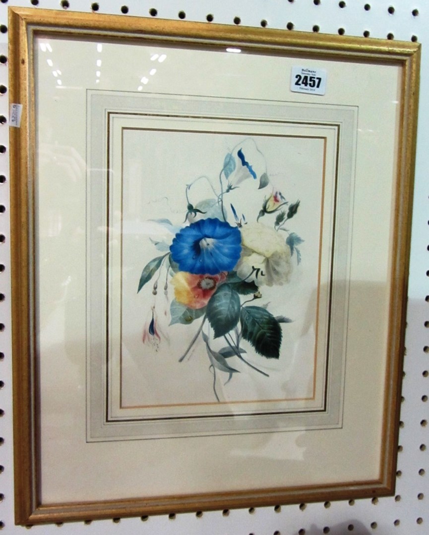 Appraisal: Harriet B Harrison Convolvulus and roses a pair of watercolours