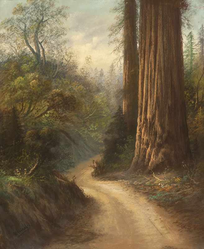 Appraisal: Carl Sammons - Oakland CA Redwood Trees in a Landscape