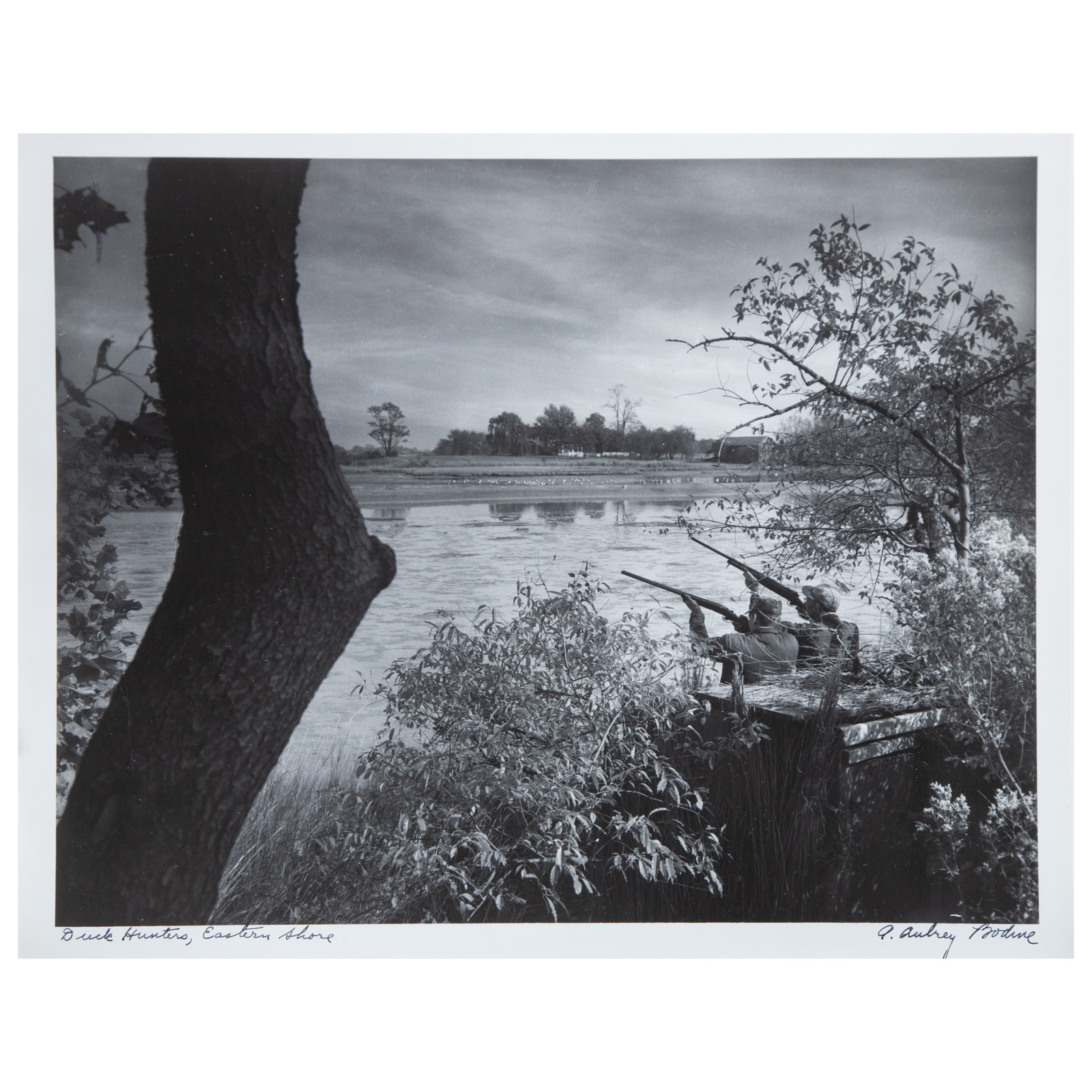 Appraisal: A AUBREY BODINE DUCK HUNTERS EASTERN SHORE American - Gelatin