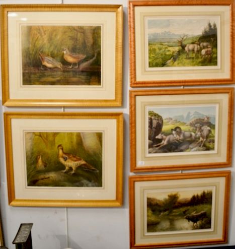 Appraisal: Group of five colored lithographs two H Sandam Moose and