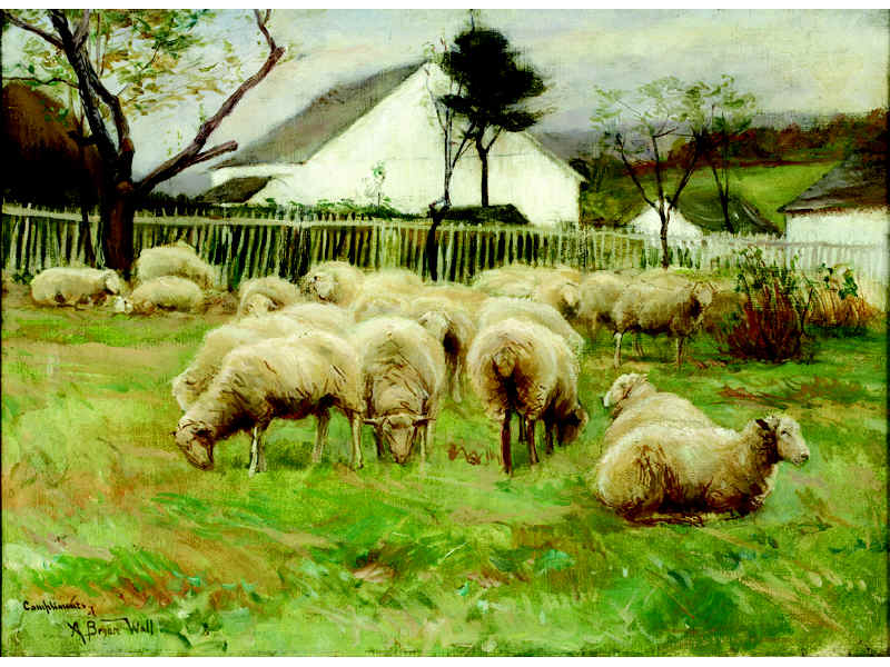 Appraisal: A BRYAN WALL AMERICAN - Sheep grazing in a fenced