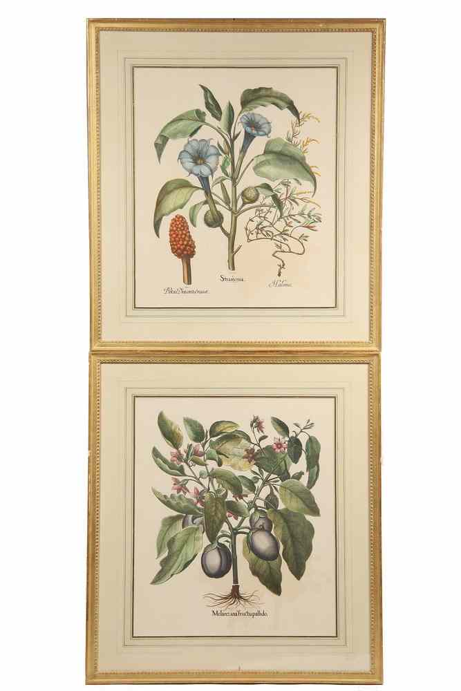 Appraisal: BOTANICAL PRINTS - Handcolored Heliogravures published by Edizione Ponte Vecchio