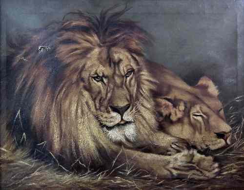 Appraisal: J Partridge th Century - Oil painting - Recumbent lion