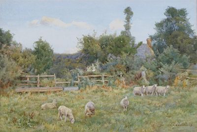 Appraisal: Alfred Adams b Sheep grazing near a cottage Signed Watercolour