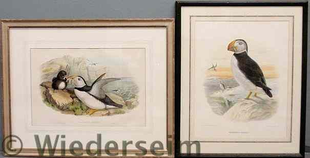 Appraisal: Two framed and matted bird lithographs one by J Gould