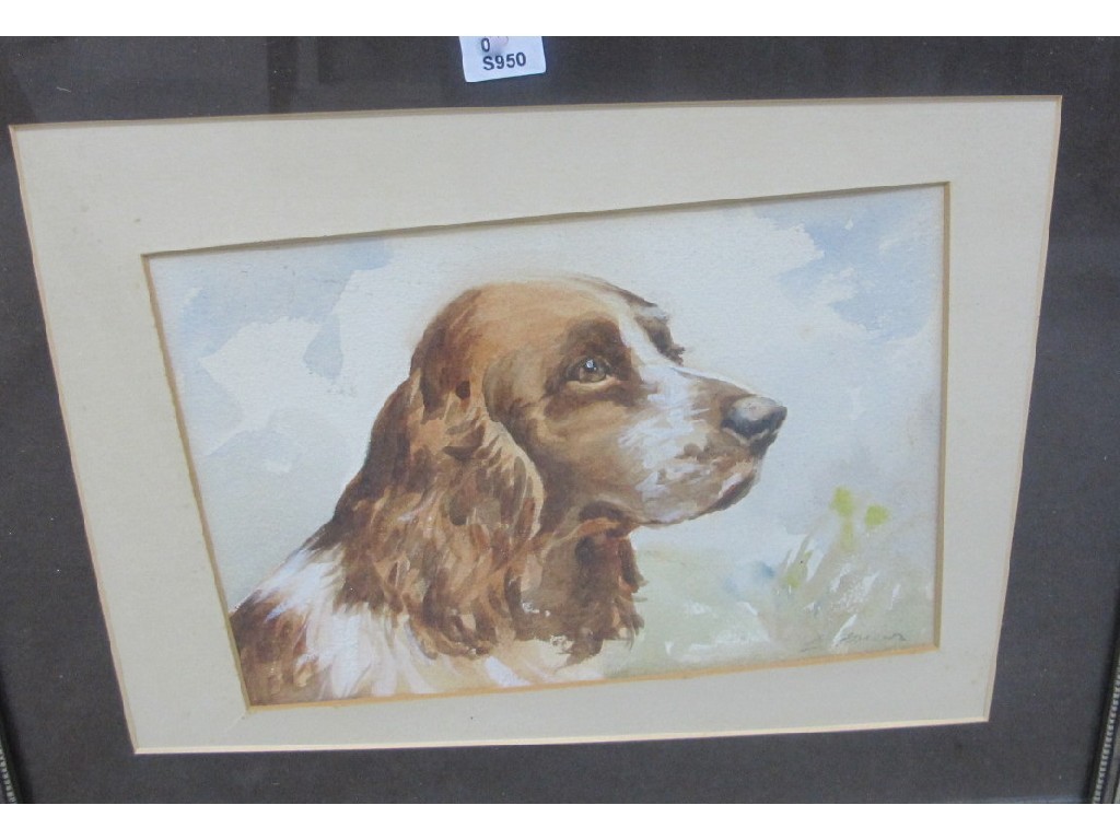 Appraisal: L FRASER Watercolour study of a spaniel signed