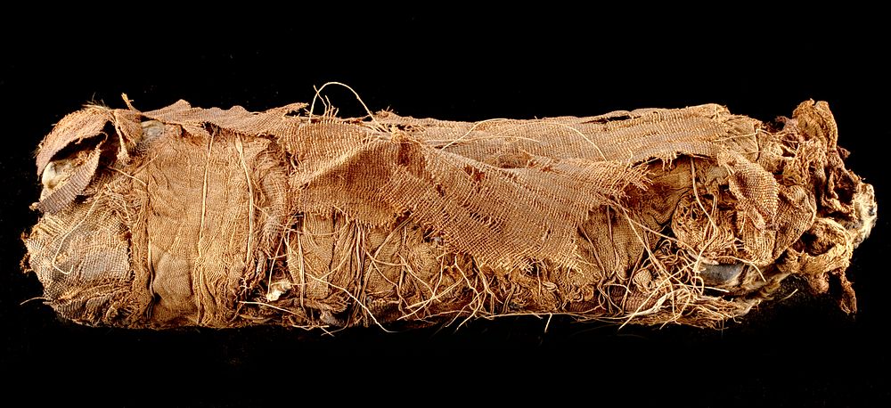 Appraisal: Egyptian Ptolemaic Linen Wrapped Mummified Cat w X-Ray Egypt Ptolemaic