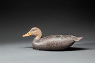 Appraisal: Black Duck Robert Bob White b Tullytown PA c A