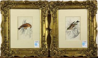 Appraisal: Prints by William Home Lizars for Jardines Naturalist Library lot