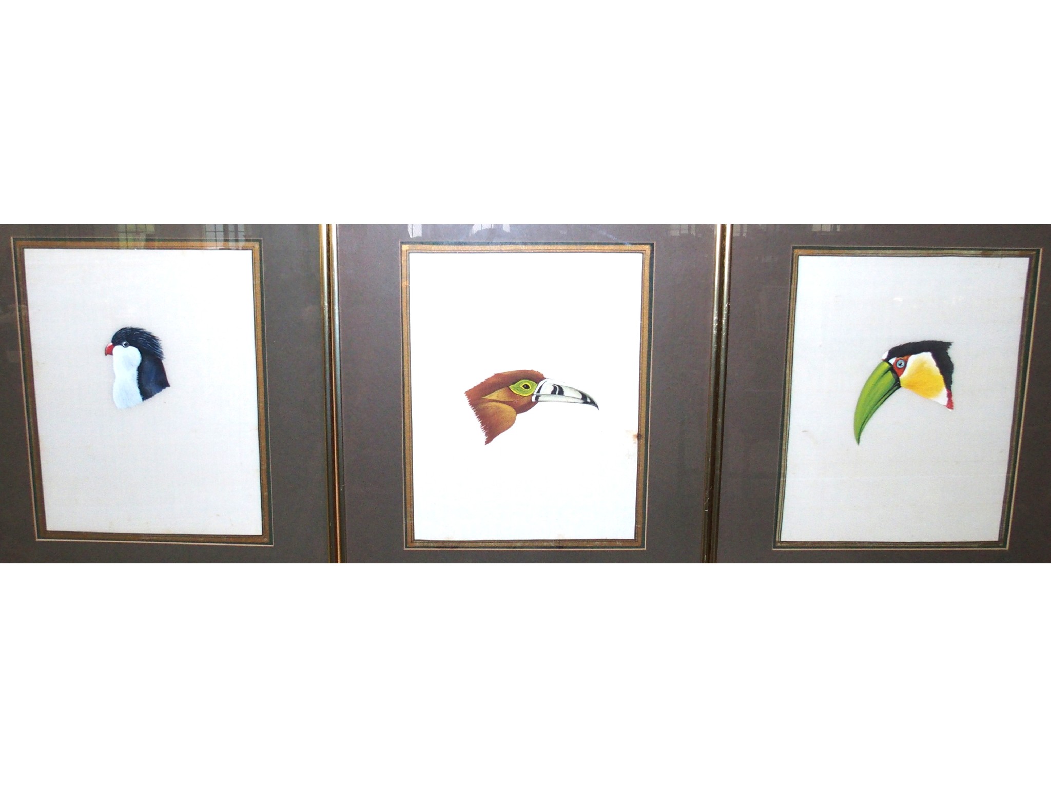 Appraisal: BRITISH SCHOOL Birds Heads gouache