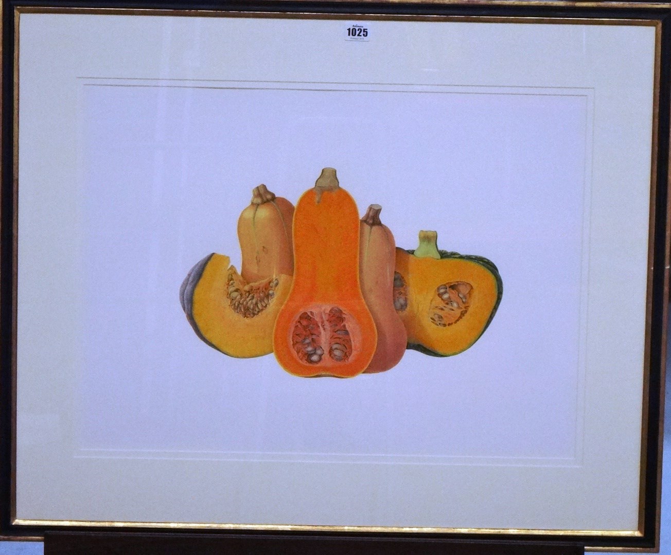 Appraisal: Susanna Blaxill b Butternut pumpkins watercolour cm x cm