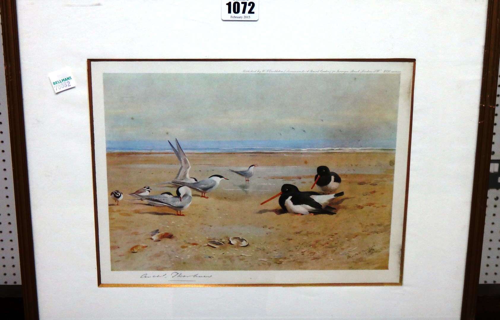 Appraisal: Archibald Thorburn - Wading birds four colour prints two signed