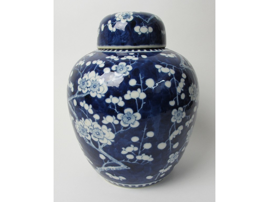 Appraisal: A Chinese blue and white jar painted with blossoming branches