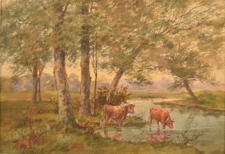 Appraisal: A Matthews Cattle in Stream Watercolor Watercolor on Paper Painting