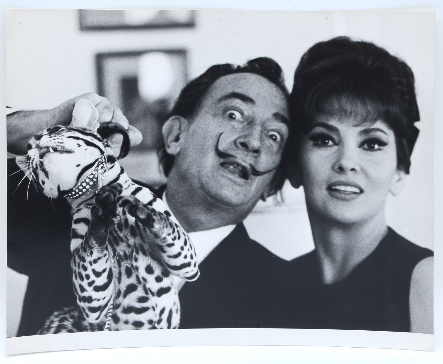 Appraisal: SALVADOR DALI PHOTOGRAPH WITH GINA LOLLOBRIGIDA AND PET OCELOT BABOU