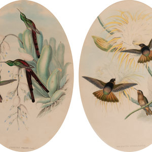 Appraisal: Two Ornithological Prints from 'John Gould's Birds of Great Britain'