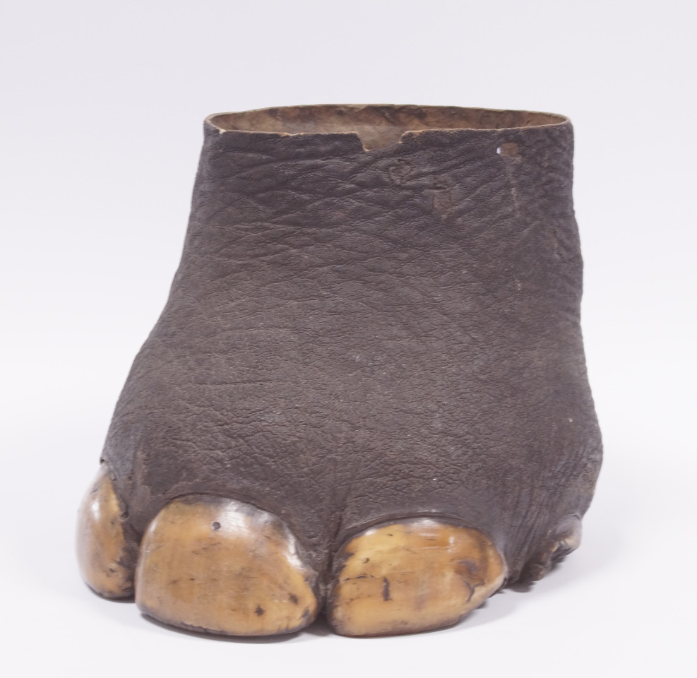 Appraisal: A late thC early thC elephant's foot waste paper bin