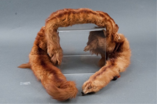 Appraisal: DeMilo Mink Stole In box