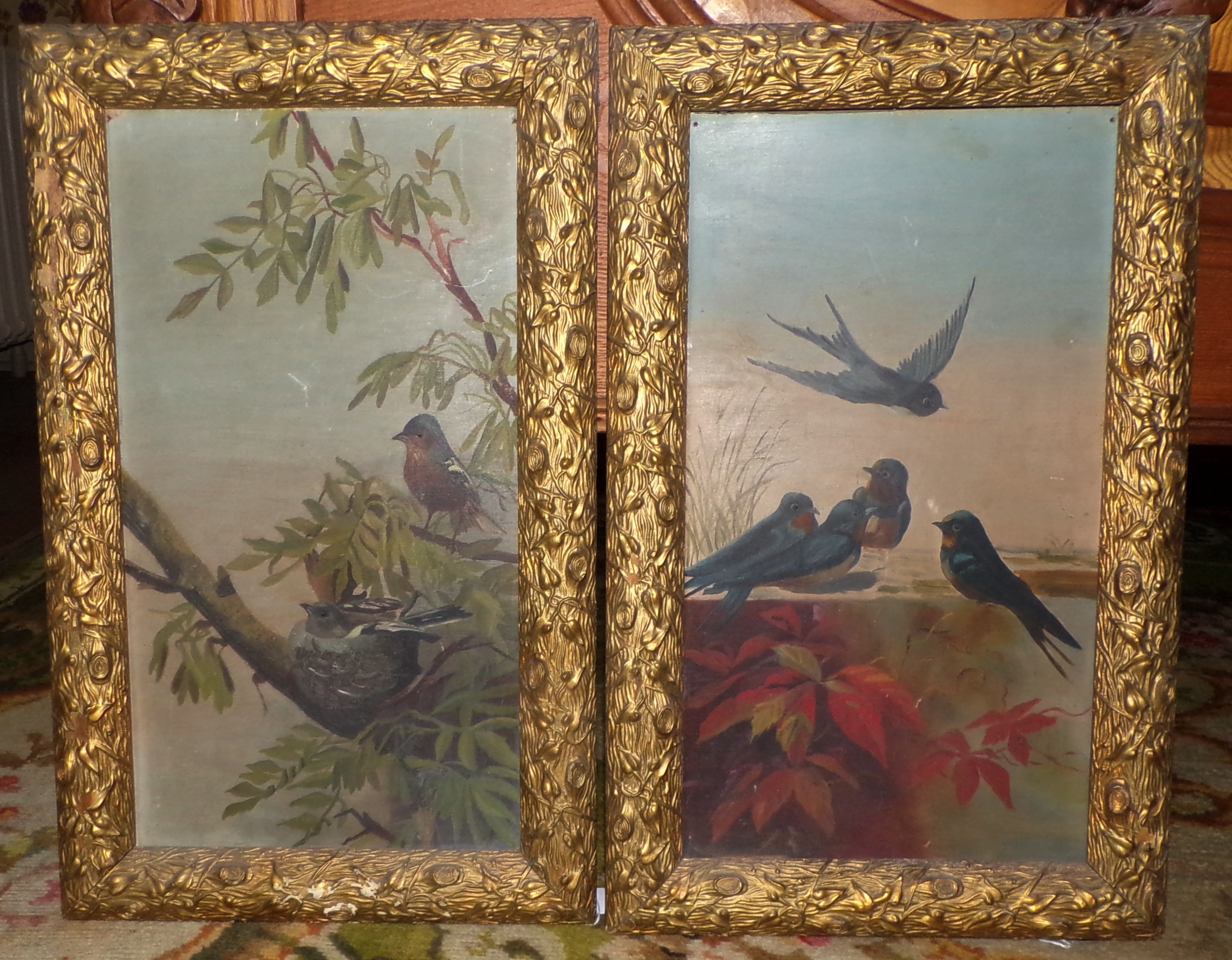 Appraisal: th c American School- Birds- oils on panels framed x