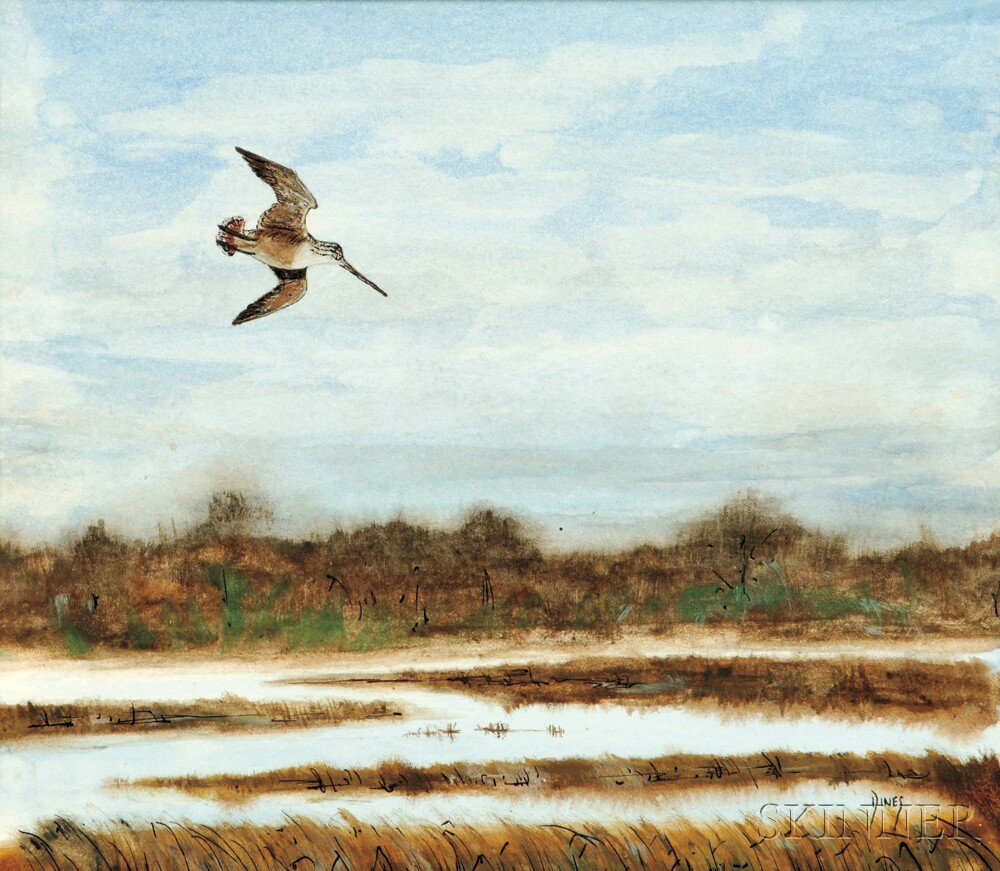 Appraisal: Bruce Dines American b Woodcock in Flight Signed DINES l