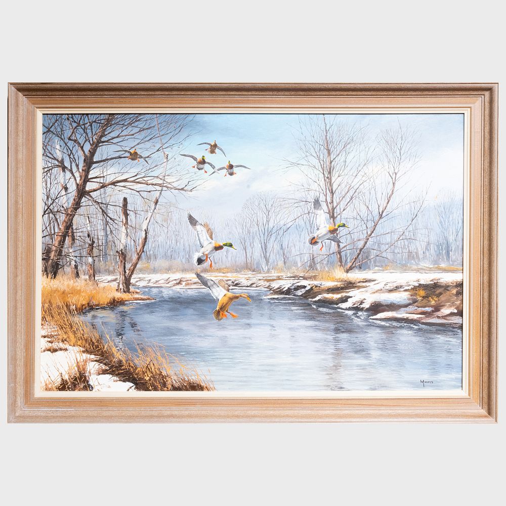 Appraisal: David Maass b Winter River Mallards Oil on Masonite signed