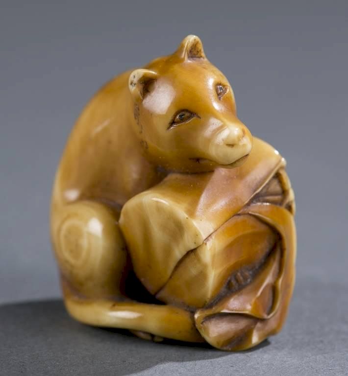 Appraisal: Japanese ivory netsuke of wolf with drum A Japanese ivory