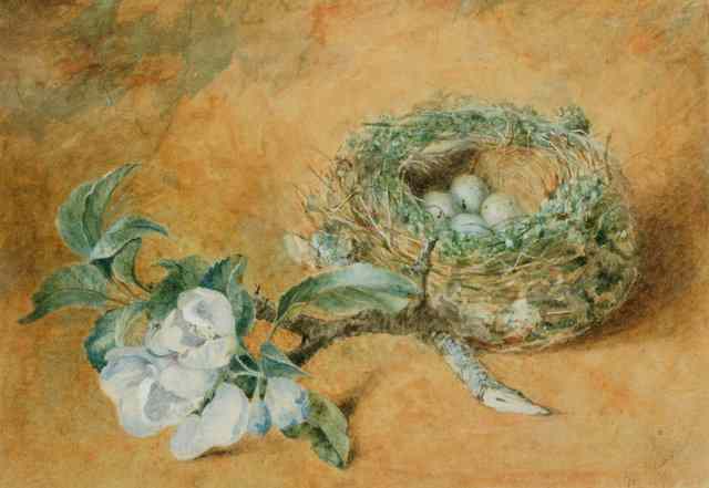 Appraisal: ADAMS TH CENTURY Still life - A nest of birds