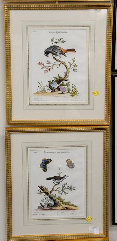 Appraisal: Group of four hand colored engravings of birds and butterflies