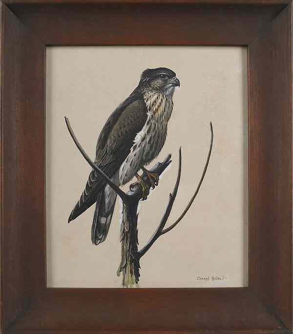 Appraisal: Conrad Roland American - watercolor and gouache of a hawk