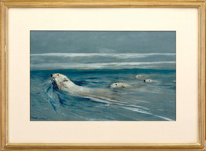 Appraisal: ARTHUR WARDLE AMERICAN - POLAR BEARS SWIMMING Watercolor on paper