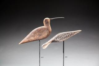 Appraisal: Curlew Flattie Curlew FlattieEastern Shore of Virginia c in long