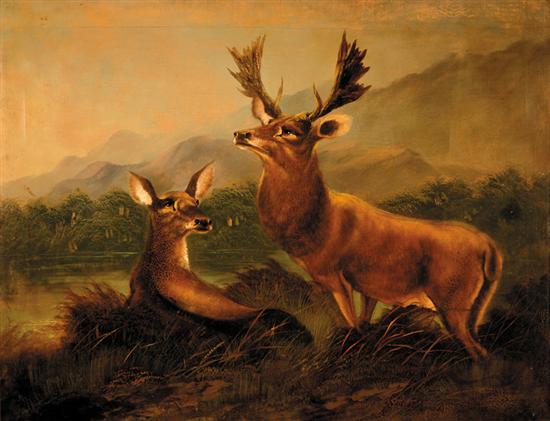 Appraisal: Clarence Roe British - WILDLIFE OF THE HIGHLANDS oil on