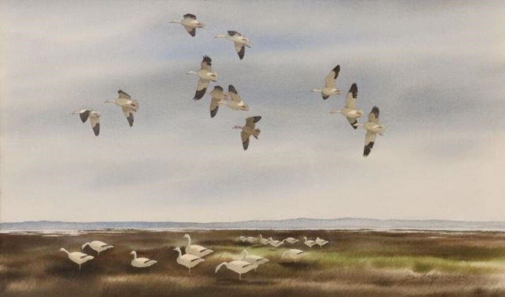 Appraisal: Framed watercolor painting on paper Geese in Flight signed lower