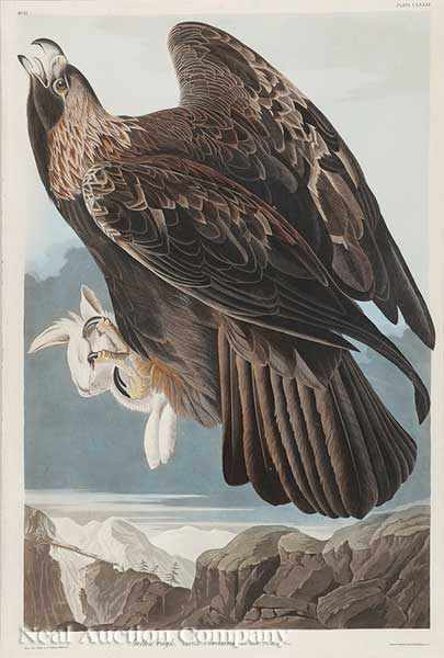 Appraisal: John James Audubon American - Golden Eagle Plate CLXXXI from