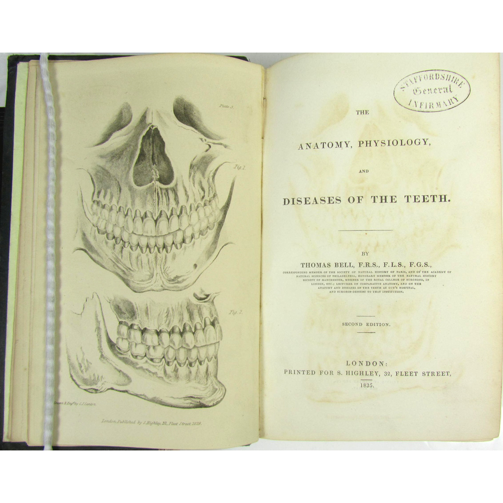 Appraisal: Dentistry - Bell Thomas The Anatomy Physiology and Diseases of