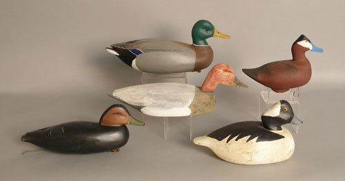 Appraisal: Group of five decoys later th c Ruddy duck l