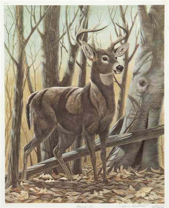 Appraisal: John A Ruttman White Tailed Deer color lithograph signed John