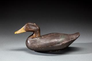 Appraisal: Black Duck by Robert Bob McGaw Robert Bob McGaw -