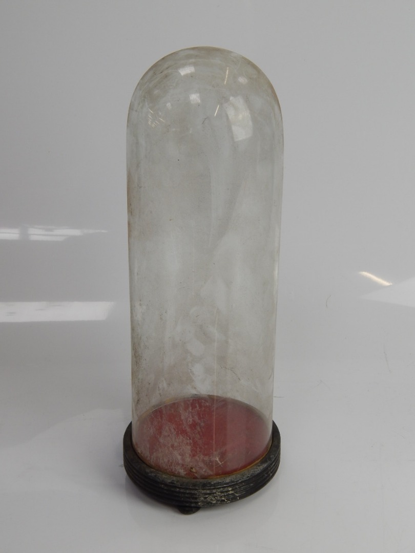 Appraisal: A thC glass cylindrical dome with reeded mahogany circular stand