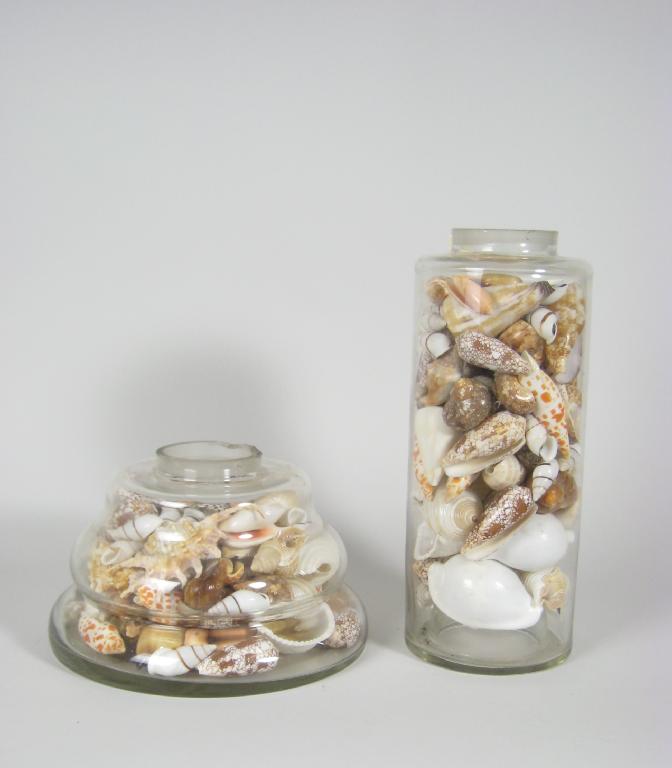 Appraisal: Two clear glass Chemist's Jars filled with decorative shells A